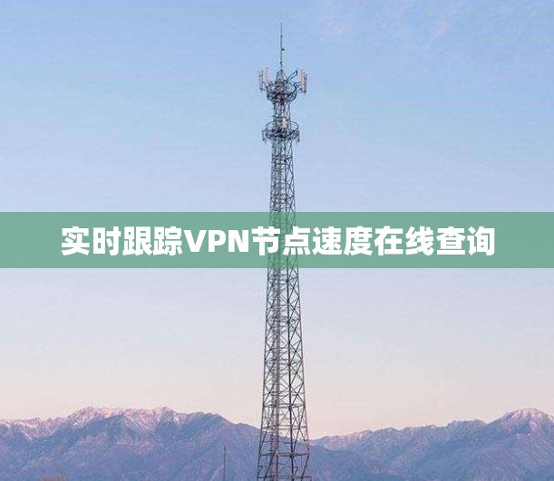 实时跟踪VPN节点速度在线查询