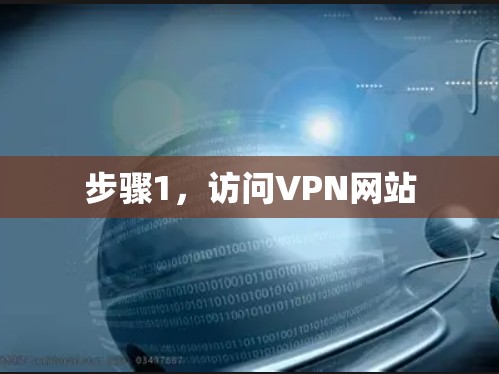 步骤1，访问VPN网站