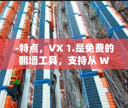 -特点，VX 1.是免费的翻墙工具，支持从 Windows 和 macOS 系统运行。它提供了一个简单的界面，让用户可以轻松翻墙多个页面
