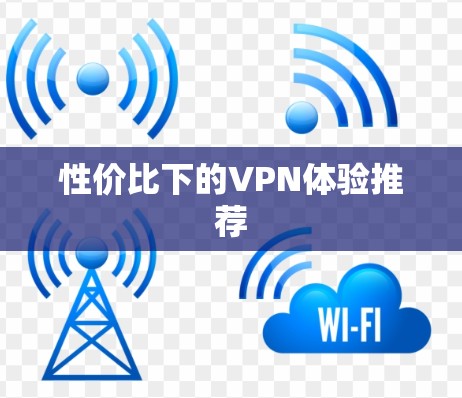 性价比下的VPN体验推荐 性价比下的VPN体验推荐