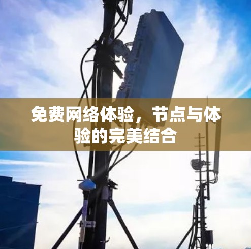 免费网络体验，节点与体验的完美结合