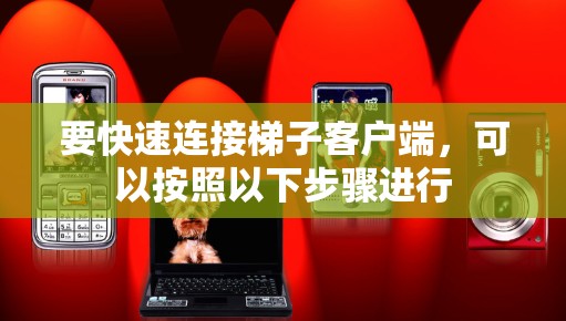 要快速连接梯子客户端，可以按照以下步骤进行