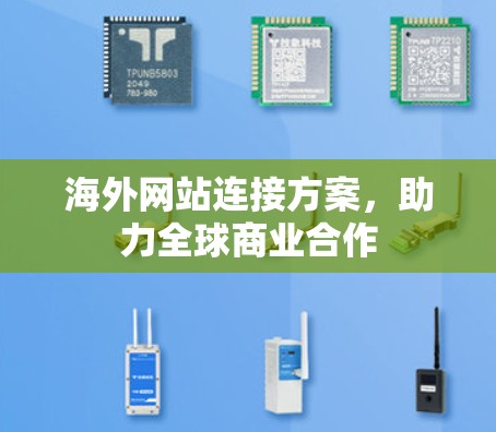 海外网站连接方案，助力全球商业合作