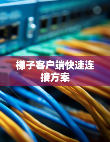 梯子客户端快速连接方案