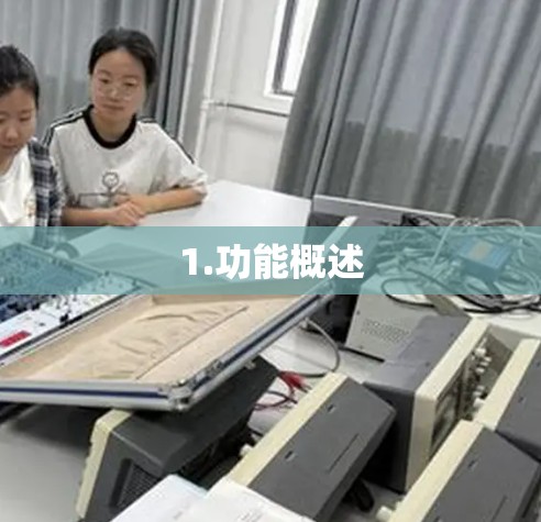 1.功能概述