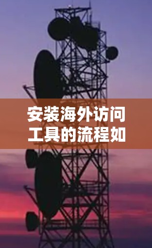 安装海外访问工具的流程如下
