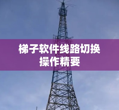 梯子软件线路切换操作精要