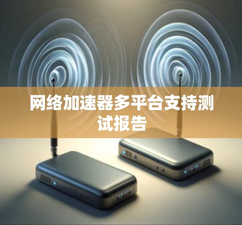 网络加速器多平台支持测试报告