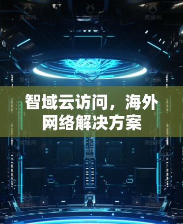智域云访问，海外网络解决方案