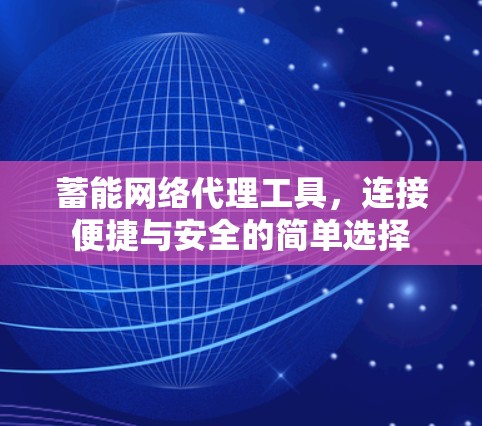 蓄能网络代理工具,连接便捷与安全的简单选择 蓄能网络代理工具,连接便捷与安全的简单选择