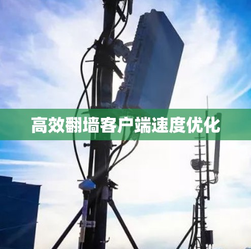 高效翻墙客户端速度优化