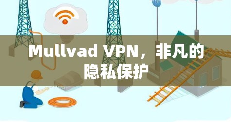 Mullvad VPN，非凡的隐私保护
