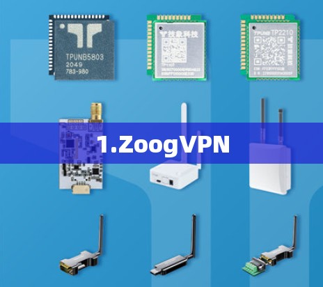 1.ZoogVPN