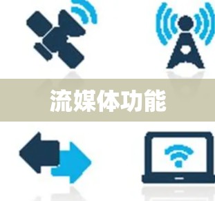 流媒体功能 流媒体功能