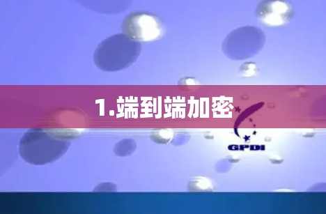 1.端到端加密 1.端到端加密