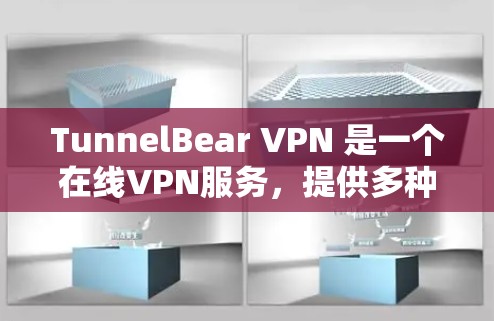 TunnelBear VPN 是一个在线VPN服务，提供多种VPN功能，如防火墙、VPN连接、IP地址管理等。以下是下载和安装 TunnelBear VPN 的教程