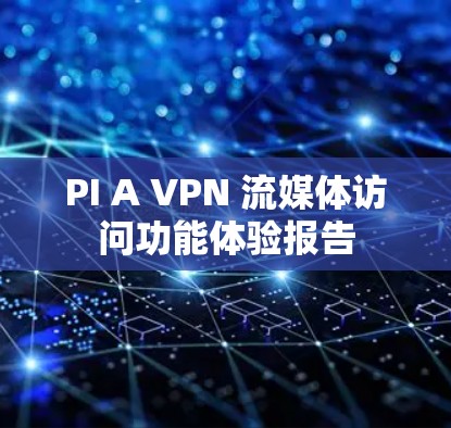 PI A VPN 流媒体访问功能体验报告