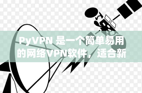 PyVPN 是一个简单易用的网络VPN软件，适合新用户快速上手。以下是使用 PyVPN 连接VPN的教程