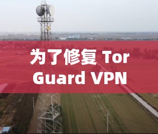 为了修复 TorGuard VPN 连接问题，您可以按照以下步骤进行