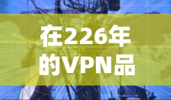 在226年的VPN品牌推荐中，选择一个合适的品牌至关重要。以下是一个综合考虑的关键点和推荐列表，帮助用户做出明智的选择