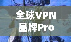 全球VPN品牌Proton和PureVPN在服务范围、价格、设备兼容性和安全性上有所不同，以下是详细的对比分析