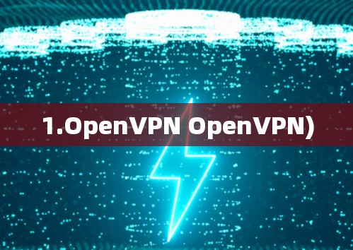 1.OpenVPN OpenVPN)