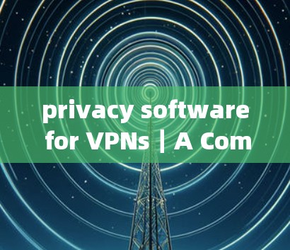 privacy software for VPNs｜A Comparative Analysis of Security Tools in VPNs