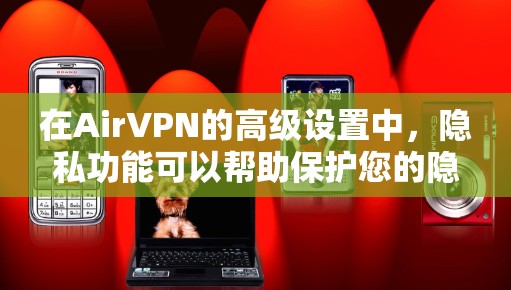 在AirVPN的高级设置中，隐私功能可以帮助保护您的隐私并防止未经授权的访问。以下是对高级设置功能的详细说明，帮助您更好地管理这些功能