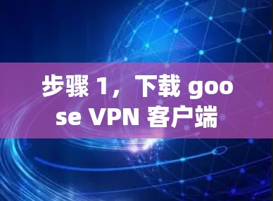 步骤 1，下载 goose VPN 客户端