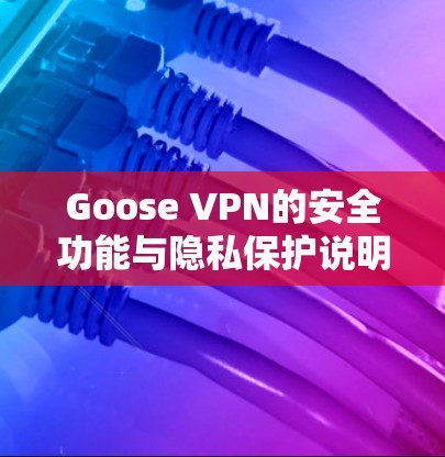 Goose VPN的安全功能与隐私保护说明 Goose VPN的安全功能与隐私保护说明