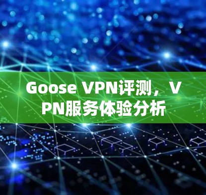 Goose VPN评测，VPN服务体验分析