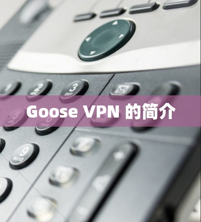 Goose VPN 的简介