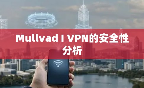 Mullvad I VPN的安全性分析