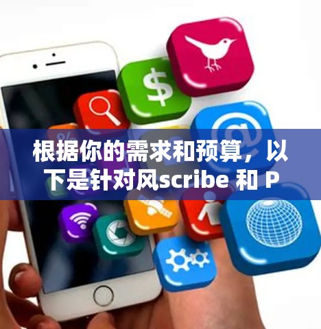 根据你的需求和预算，以下是针对风scribe 和 Privado VPN 的最佳选择