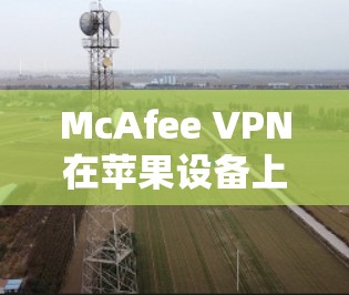 McAfee VPN在苹果设备上（iPhone）的使用步骤如下