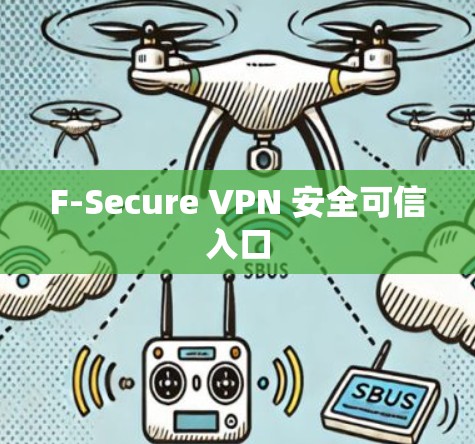 F-Secure VPN 安全可信入口