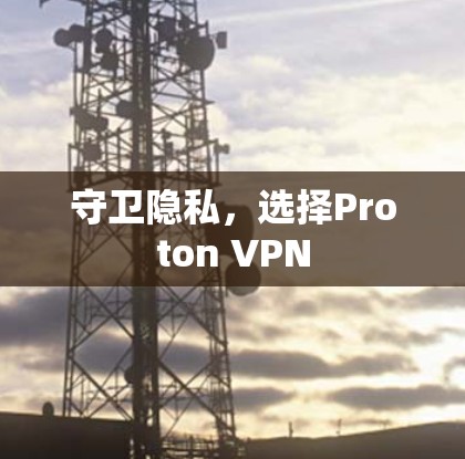 守卫隐私，选择Proton VPN