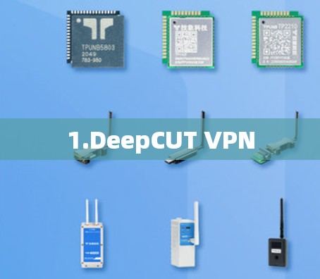 1.DeepCUT VPN 1.DeepCUT VPN