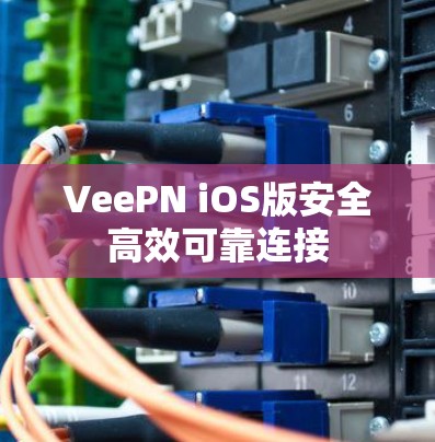 VeePN iOS版安全高效可靠连接 VeePN iOS版安全高效可靠连接