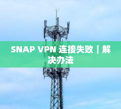 SNAP VPN 连接失败｜解决办法