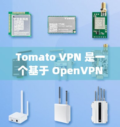 Tomato VPN 是一个基于 OpenVPN 的免费VPN软件，适合需要快速、安全的VPN连接用户。以下是使用 Tomo VPN 的步骤