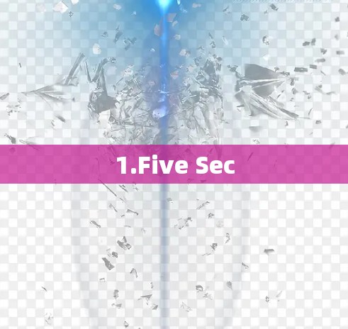 1.Five Sec