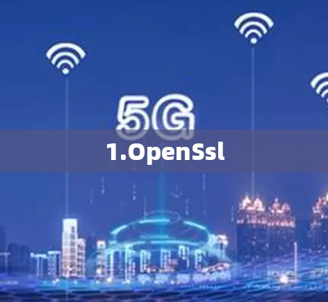 1.OpenSsl 1.OpenSsl