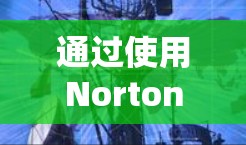 通过使用Norton VPN的设置功能，您可以有效地控制流量，解决连接不稳定的问题。以下是详细的步骤指南