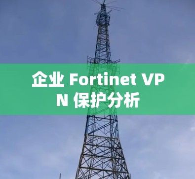企业 Fortinet VPN 保护分析