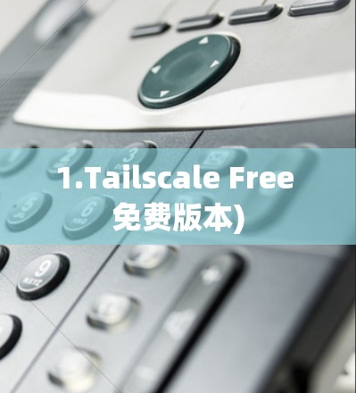 1.Tailscale Free 免费版本)