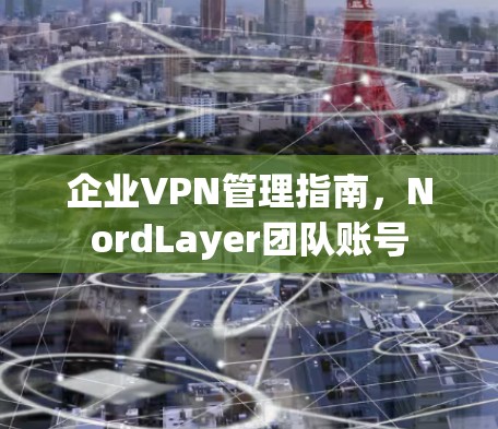 企业VPN管理指南，NordLayer团队账号