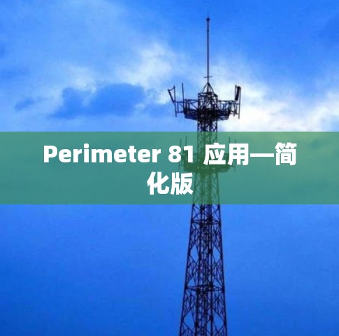 Perimeter 81 应用—简化版