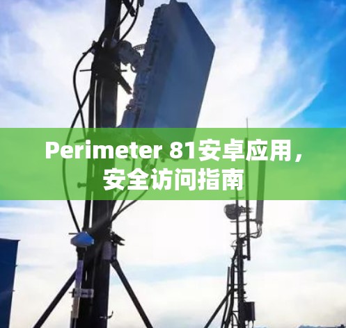 Perimeter 81安卓应用，安全访问指南