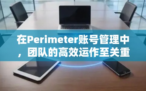 在Perimeter账号管理中，团队的高效运作至关重要。以下是一个结构化且全面的团队设置方法
